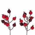 Floristik24 Artificial pomegranate branch with branching stems as vase decoration, 19cm, 4 pieces