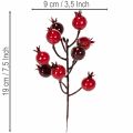 Artificial pomegranate branch with branching stems as vase decoration, 19cm, 4 pieces | Floristik24.ie