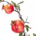 Artificial pomegranate branch as a fruit branch for table decoration, 68cm | Floristik24.ie