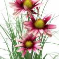 Floristik24 Artificial grass with Echinacea in a Pink 44cm pot