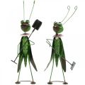 Floristik24 Grasshopper Garden Figurine Metal Decoration Cricket with Rake and Spade H33cm Set of 2