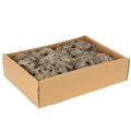 Decorative moss, grey moss for crafts, 500g | Floristik24.ie