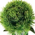 Floristik24 Green bearded carnation artificial flower like from the garden 54cm