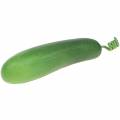 Floristik24 Artificial cucumber green 18cm