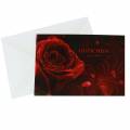 Floristik24 Voucher rose with envelope 5pcs