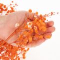 Baby's breath dried