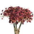 Floristik24 Gypsophila artificial red artificial flowers autumn 29.5cm 18pcs