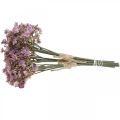 Floristik24 Gypsophila artificial violet autumn decoration 29.5cm 18pcs
