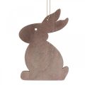 Floristik24 Easter hanging decoration, Easter bunny wood, Easter pendant 12cm 12pcs