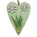 Floristik24 Decorative hearts to hang with flowers wood green, white 8.5×12cm 4pcs