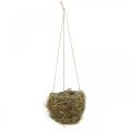 Floristik24 Blumenampel Heu Natur Plant basket for hanging Hanging pot Ø20cm