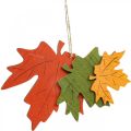 Floristik24 Autumn deco pendant wood leaves maple leaf 22cm 4pcs