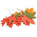 Floristik24 Autumn deco pendant wood leaves maple leaf 22cm 4pcs