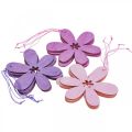 Floristik24 Decorative flower wooden pendant wooden flower purple/rose/pink Ø12cm 12pcs