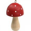 Floristik24 Fly agaric decorative mushrooms wooden mushroom for hanging H8.5cm 6pcs