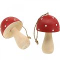 Floristik24 Fly agaric decorative mushrooms wooden mushroom for hanging H8.5cm 6pcs