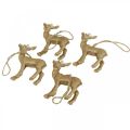 Floristik24 Christmas pendant reindeer deco deer gold 9.5cm 4pcs