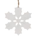 Holly ornament, Christmas
