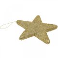 Floristik24 Christmas decoration star pendant golden glitter 18.5cm 4pcs