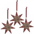 Floristik24 Christmas pendant deco star to hang up Bordeaux 4pcs
