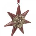 Floristik24 Christmas pendant deco star to hang up Bordeaux 4pcs