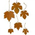 Floristik24 Autumn decoration leaves metal rust look maple leaf 6 pieces