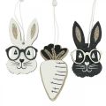 Floristik24 Wooden pendant rabbit with glasses carrot glitter 4×7.5cm 9pcs
