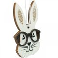 Floristik24 Wooden pendant rabbit with glasses carrot glitter 4×7.5cm 9pcs