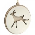 Floristik24 Pendant with deer, decoration medallion, wood decoration, Advent Ø9.5cm 6pcs