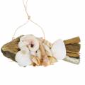 Floristik24 Maritime decoration for hanging fish with shells wood 18cm