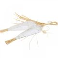 Floristik24 Fish to hang, maritime, decoration hangers with fish, tropical party decorations