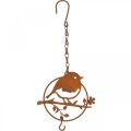 Floristik24 Metal bird for hanging, feeding place, bird with hook patina 11.5×13cm