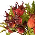 Rosehip Decoration Red Rosehip Branches Artificial 48cm 3pcs | Floristik24.ie