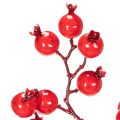 Artificial rosehip branch with shiny berries, 62cm | Floristik24.ie