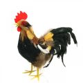 Floristik24 Deco rooster with feathers yellow spring decoration figure easter 24cm