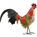 Floristik24 Decorative rooster metal colorful garden decoration figure metal decoration 58×13×50cm