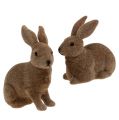 Floristik24 Rabbit flocked brown 11cm, 13.5cm 6pcs