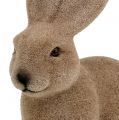Floristik24 Bunny flocked brown 15.5cm 4pcs