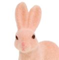 Floristik24 Bunny flocked 10.5cm pastel 6pcs