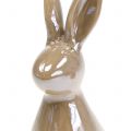 Floristik24 Decorative bunny brown mother-of-pearl 15.5cm 2pcs