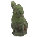 Floristik24 Garden figurine bunny mossy 20cm x 13cm H25cm