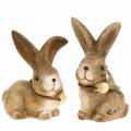 Floristik24 Decorative figures rabbits with feather and wooden bead brown assorted 7cm x 4.9cm H 10cm 2pcs