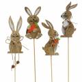 Floristik24 Easter decoration bunny with stick wood assorted nature H8,5cm 16pcs