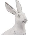 Floristik24 Rabbit sitting decorative rabbit artificial stone white gray H21.5cm