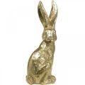 Floristik24 Decoration bunny large Easter bunny sitting gold 22×17×51.5cm