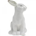 Floristik24 Easter bunny white-golden, spring decoration, ceramic figure white, golden H13cm 2pcs
