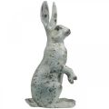 Floristik24 Decorative rabbit for Easter, spring decoration in concrete look, garden figure with gold accents, shabby chic H42cm