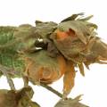 Hazelnut branch green / brown 84cm | Floristik24.ie