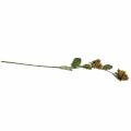 Hazelnut branch green / brown 84cm | Floristik24.ie