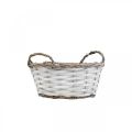 Floristik24 Plant basket, basket with handles, decorative basket round white H9.5cm Ø20cm